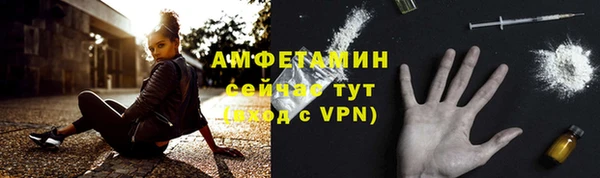 прущий лед Новозыбков