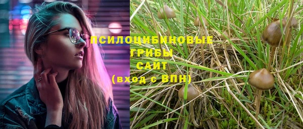 метадон Новодвинск
