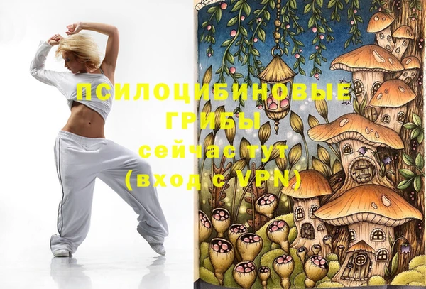 прущий лед Новозыбков