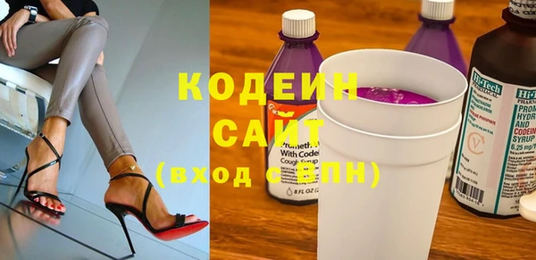 стаф Няндома