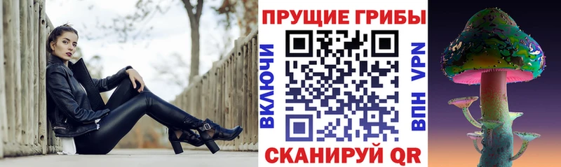 darknet наркотические препараты  Менделеевск  Галлюциногенные грибы Cubensis 