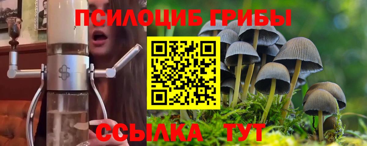 Галлюциногенные грибы Magic Shrooms  Менделеевск 